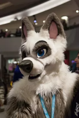 IMG_1751-lr.jpg of FWA/FWA2019/
