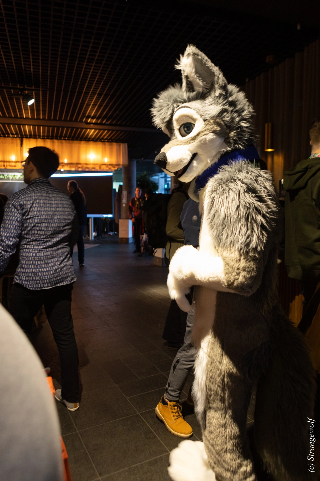 full image 1R3A9037-lr19t.jpg