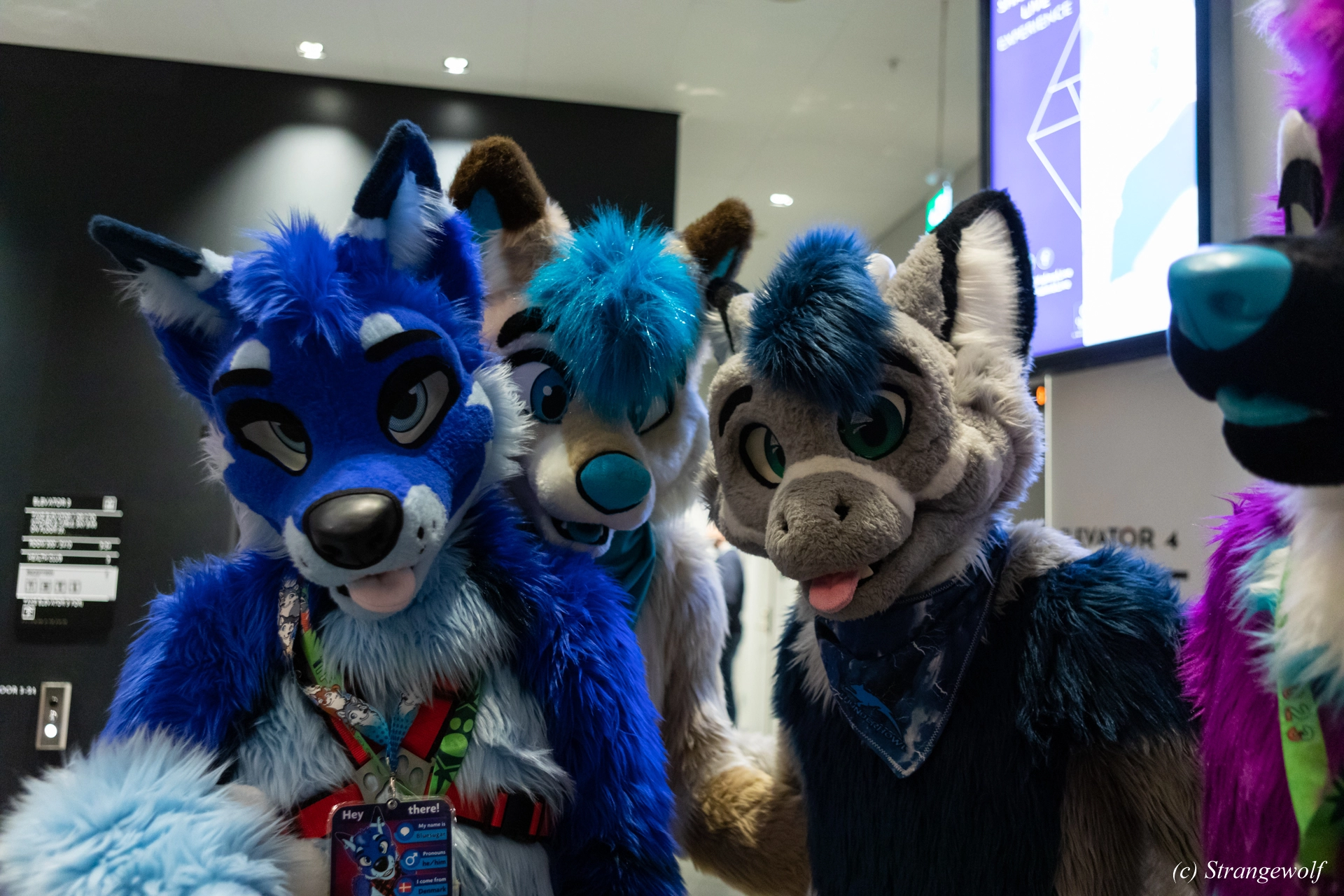 full image 1R3A0057-lr19t.jpg