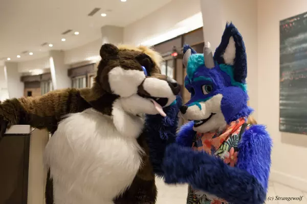 IMG_1544-lr19t.jpg of FWA/FWA2019/