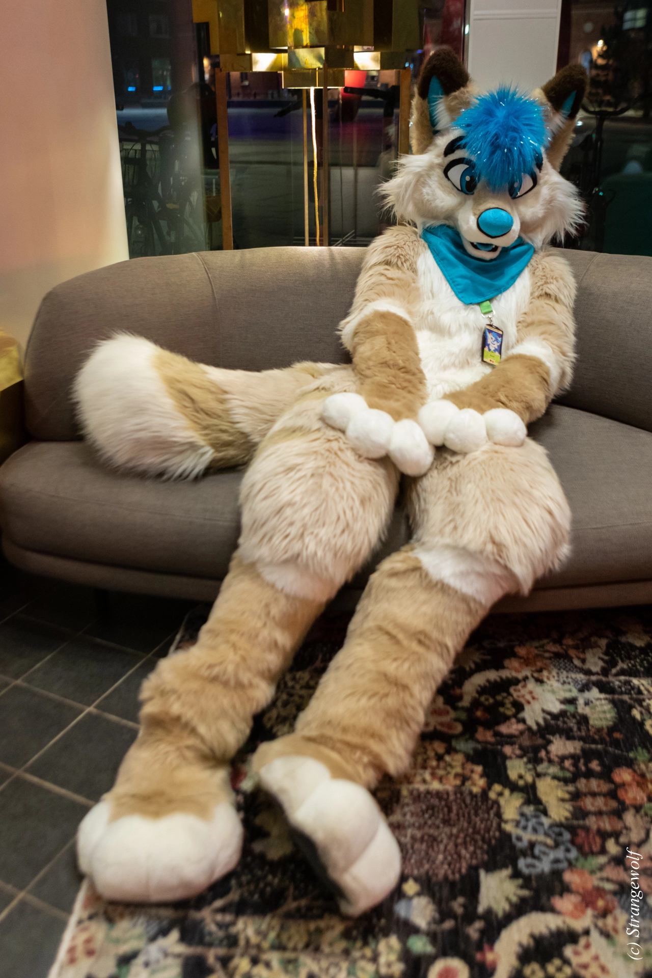 full image 1R3A0108-lr19t.jpg