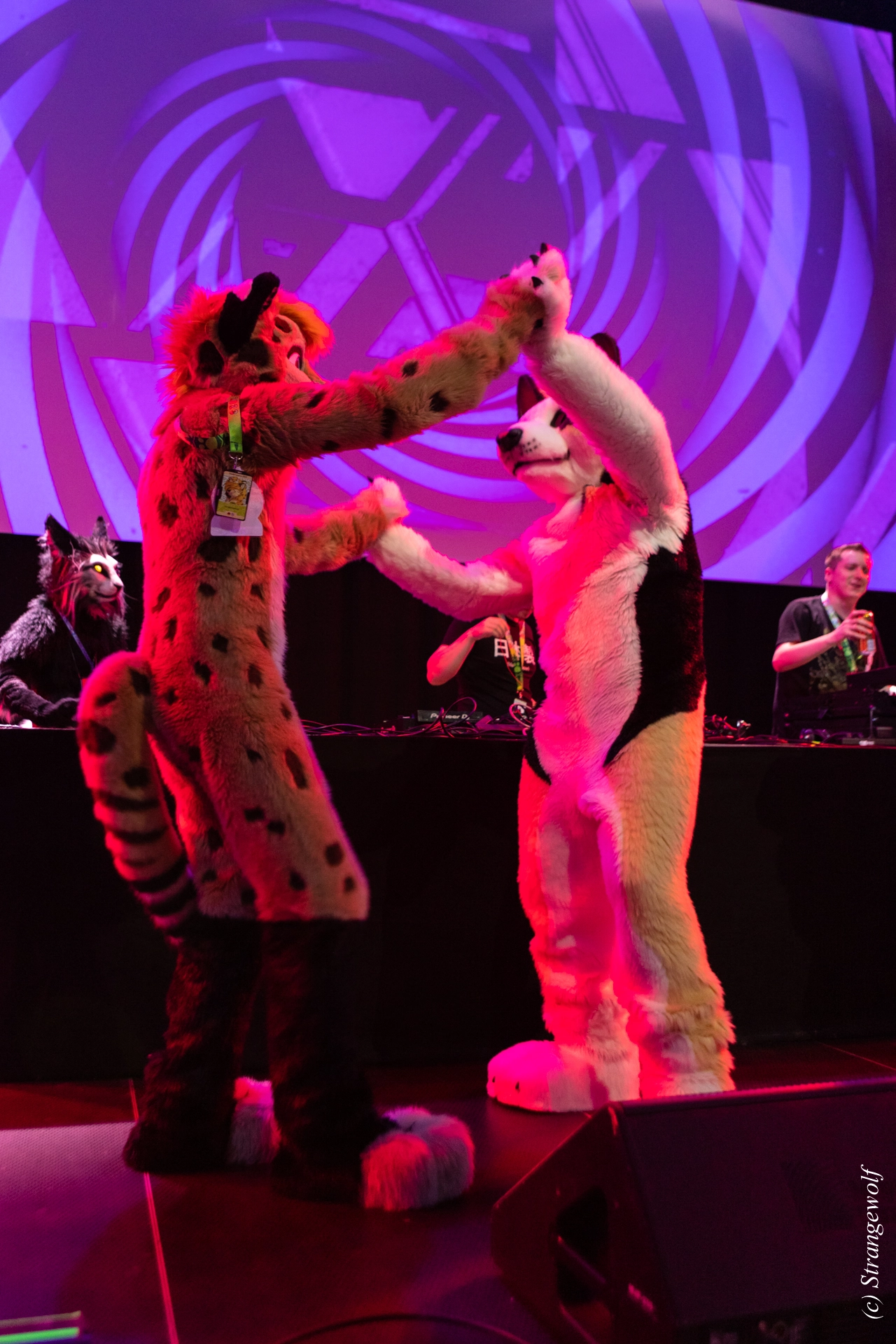 full image 1R3A9782-lr19t.jpg