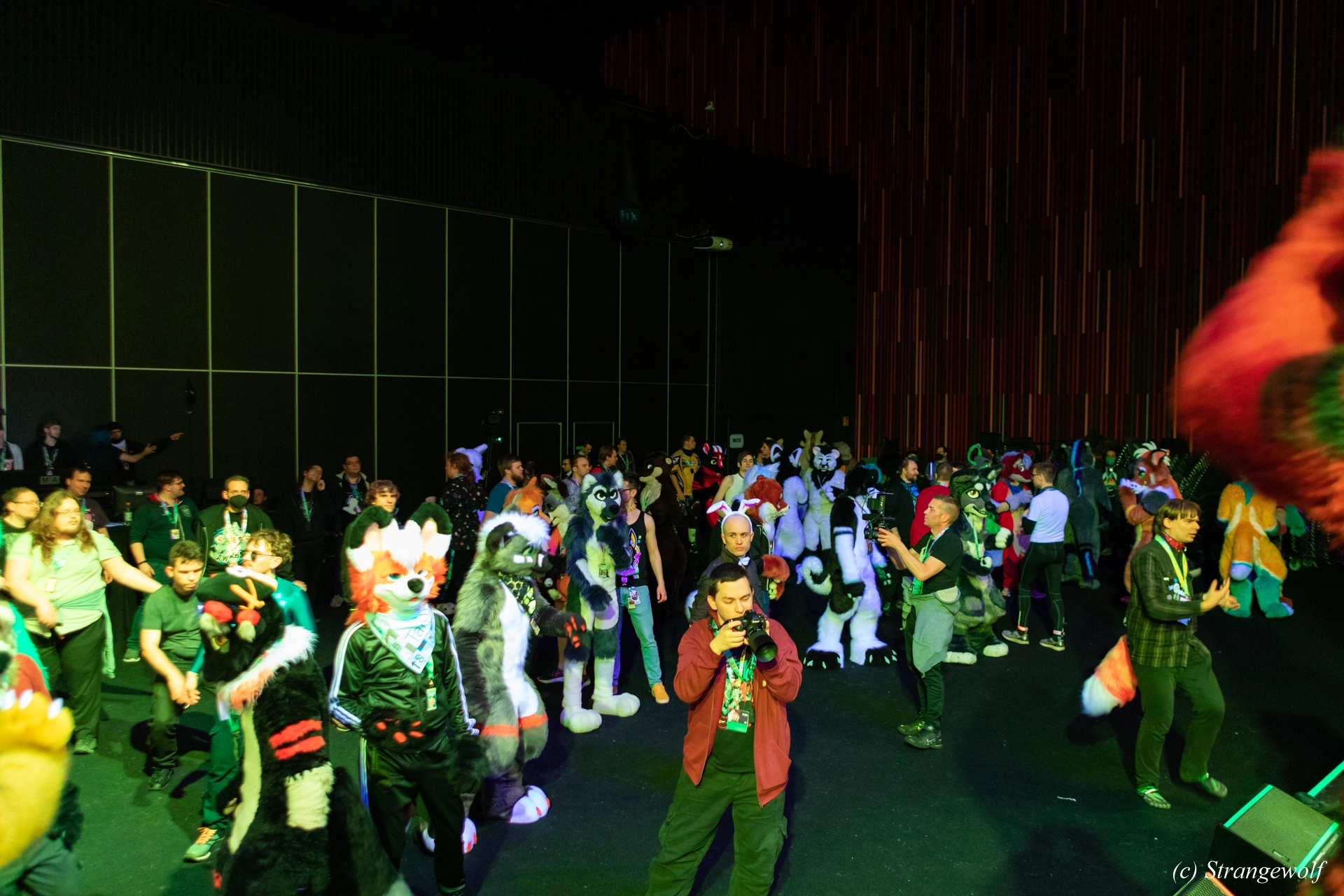 full image 1R3A9574-lr19t.jpg