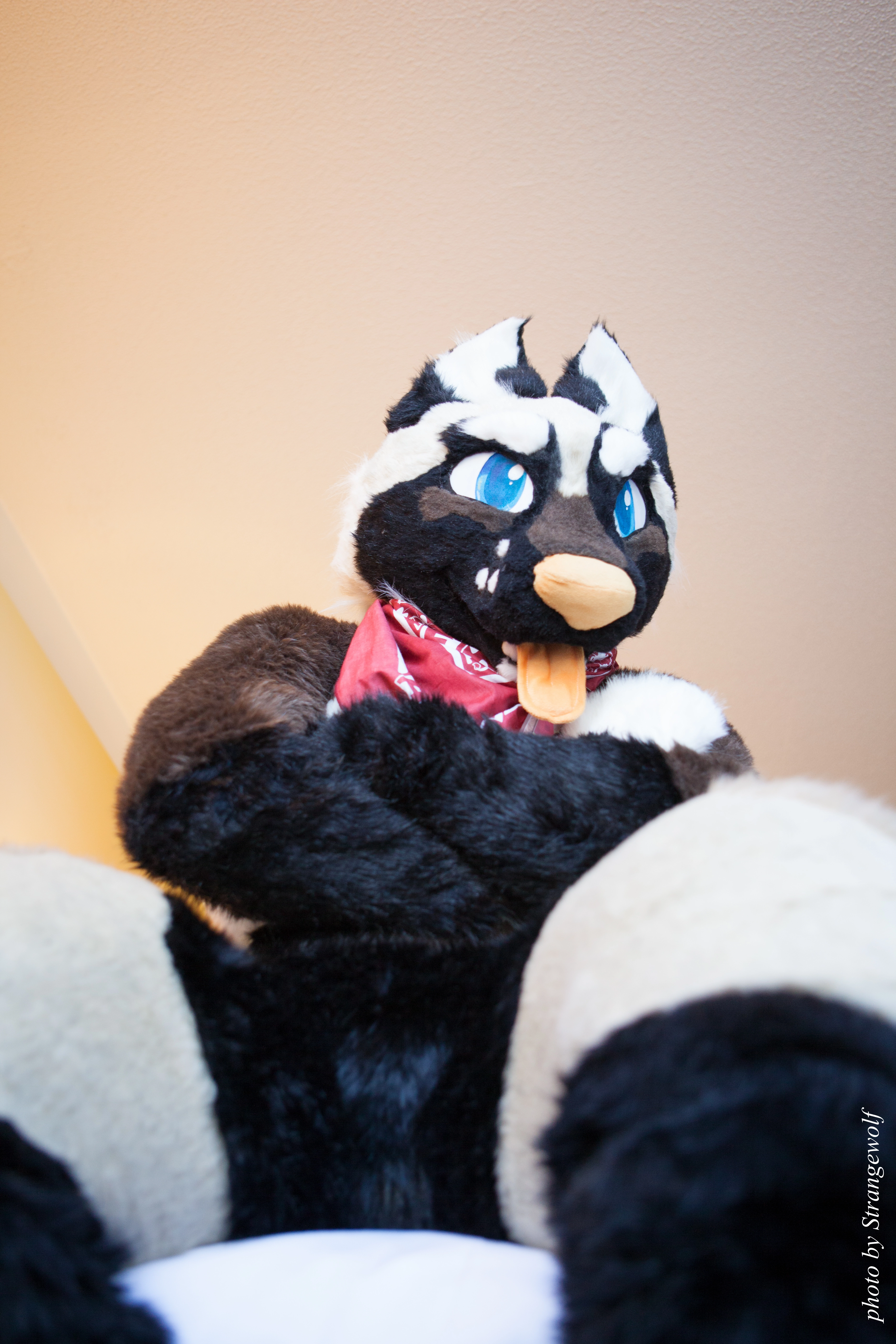 full image IMG_6086-lr.jpg