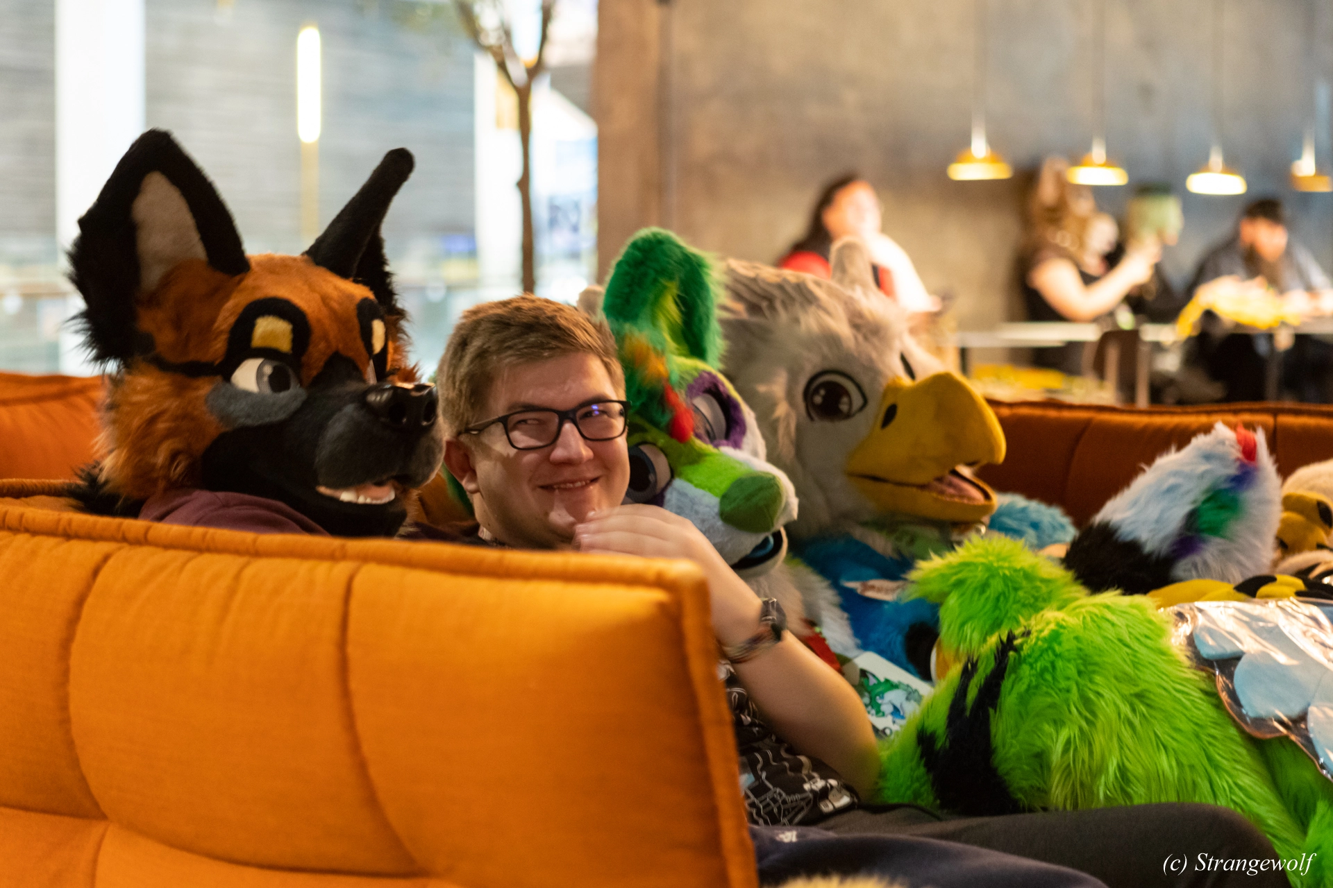 full image 1R3A9999-lr19t.jpg