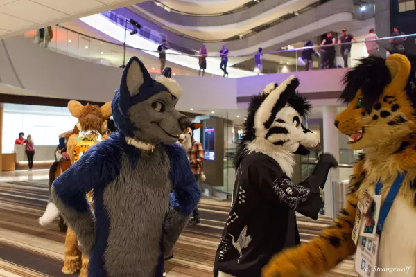 IMG_1684-lr19t.jpg of FWA/FWA2019/