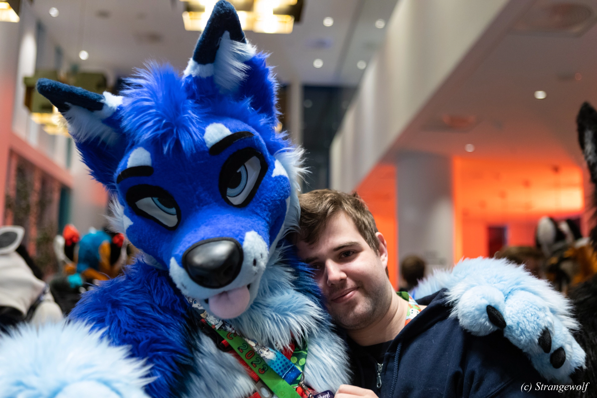 full image 1R3A0038-lr19t.jpg