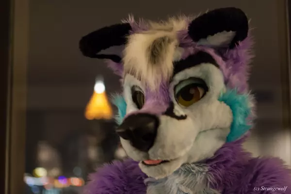 IMG_2327-lr19t.jpg of FWA/FWA2019/