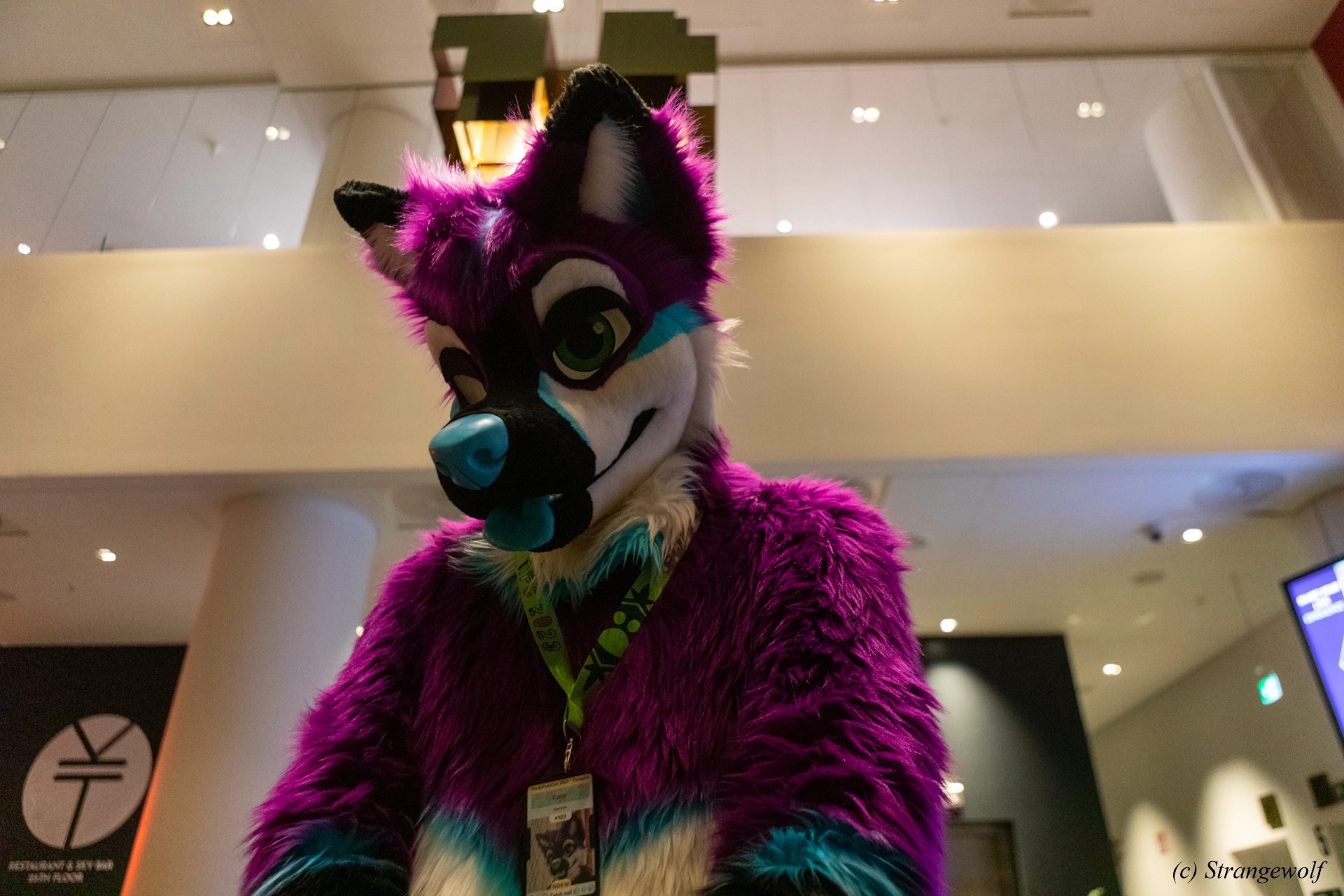 full image 1R3A8992-lr19t.jpg