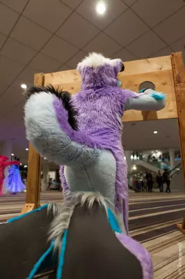 IMG_2159-lr19t.jpg of FWA/FWA2019/