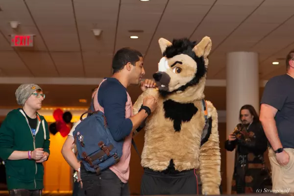 IMG_1565-lr19t.jpg of FWA/FWA2019/