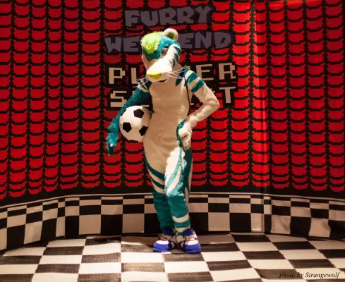 IMG_2758-lr16t.jpg of FWA/FWA2017/