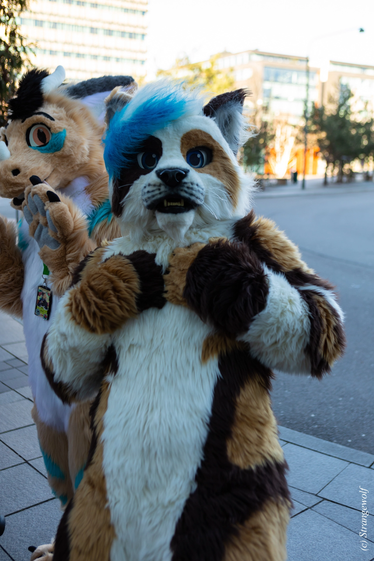 full image 1R3A9824-lr19t.jpg