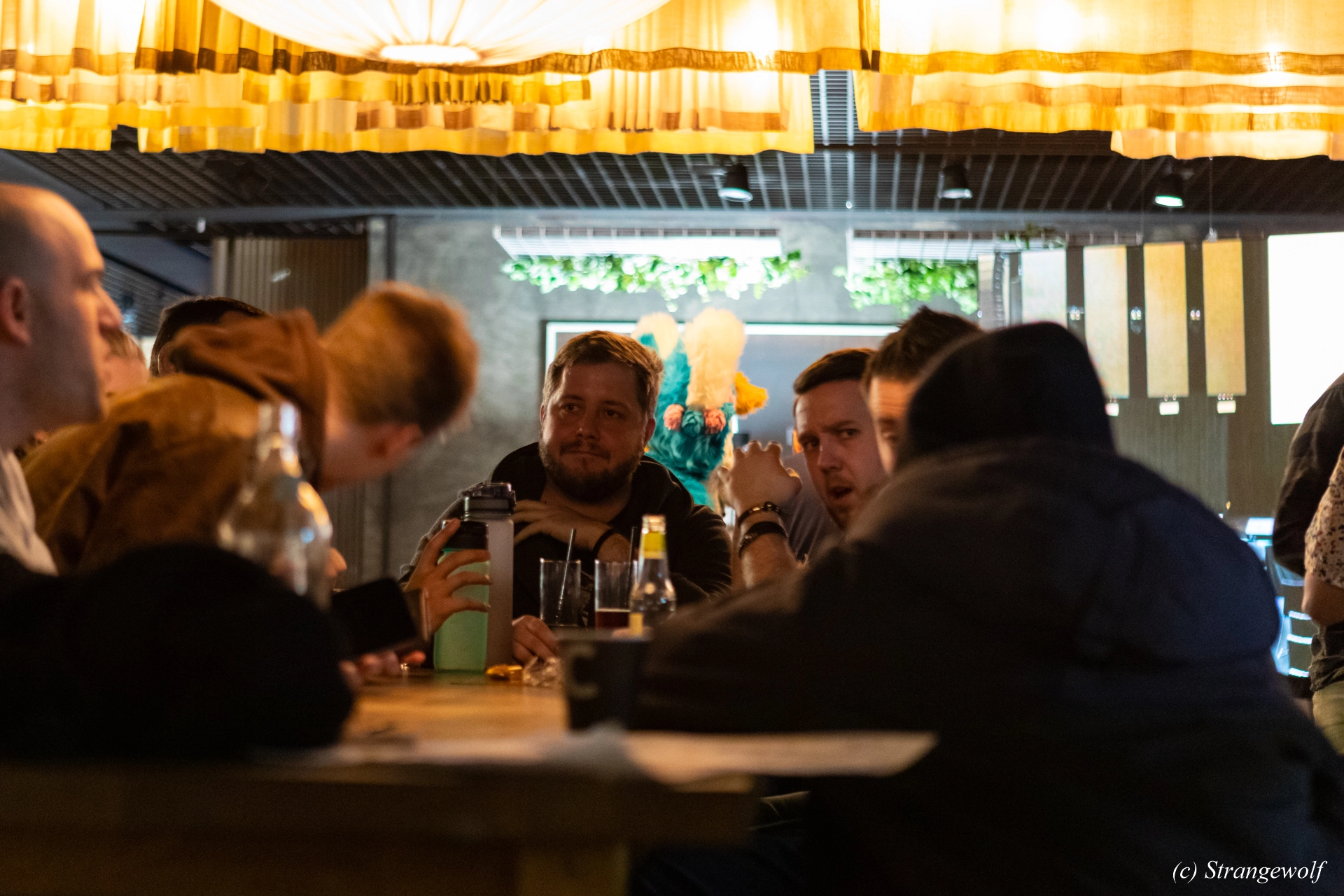 full image 1R3A9932-lr19t.jpg