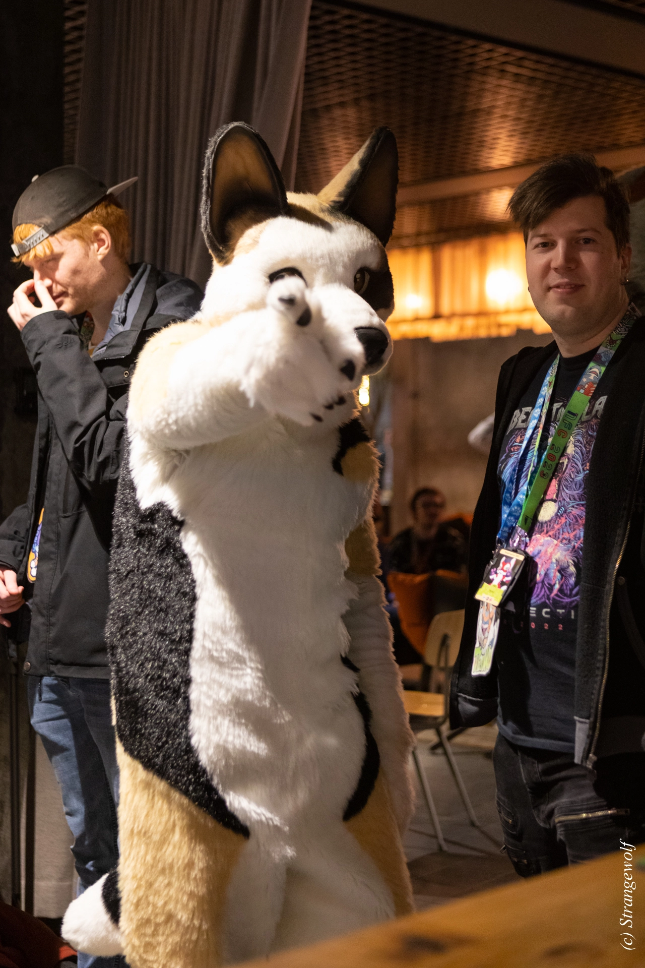 full image 1R3A9066-lr19t.jpg