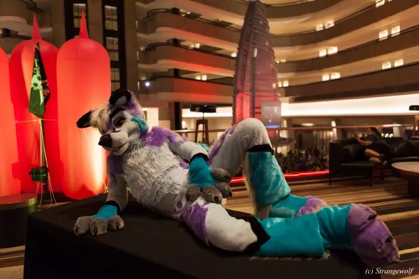 IMG_2203-lr19t.jpg of FWA/FWA2019/