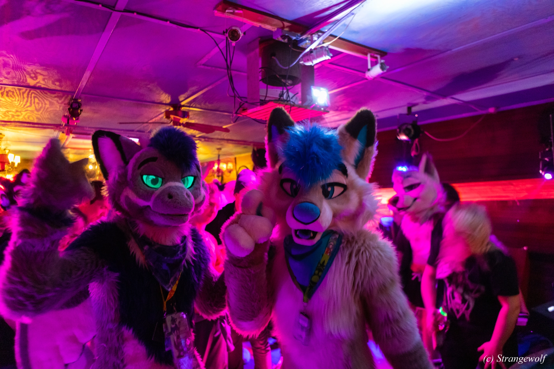 full image 1R3A9137-lr19t.jpg