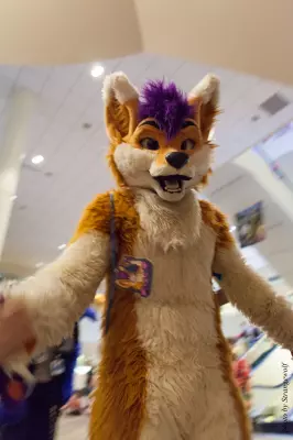 IMG_7417-lr16t.jpg of FWA/FWA2015/