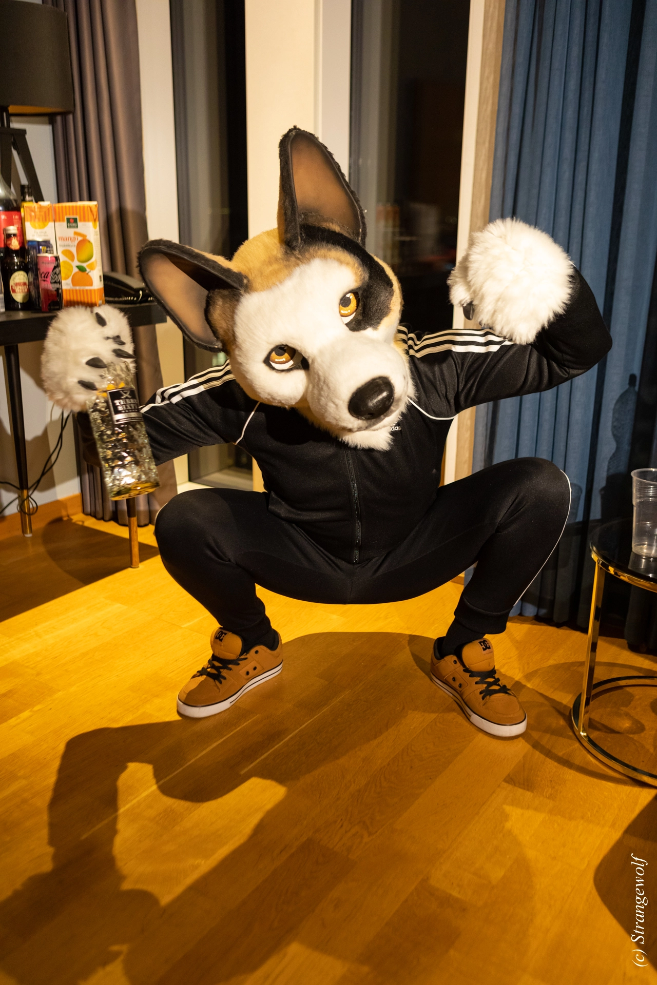 full image 1R3A9307-lr19t.jpg