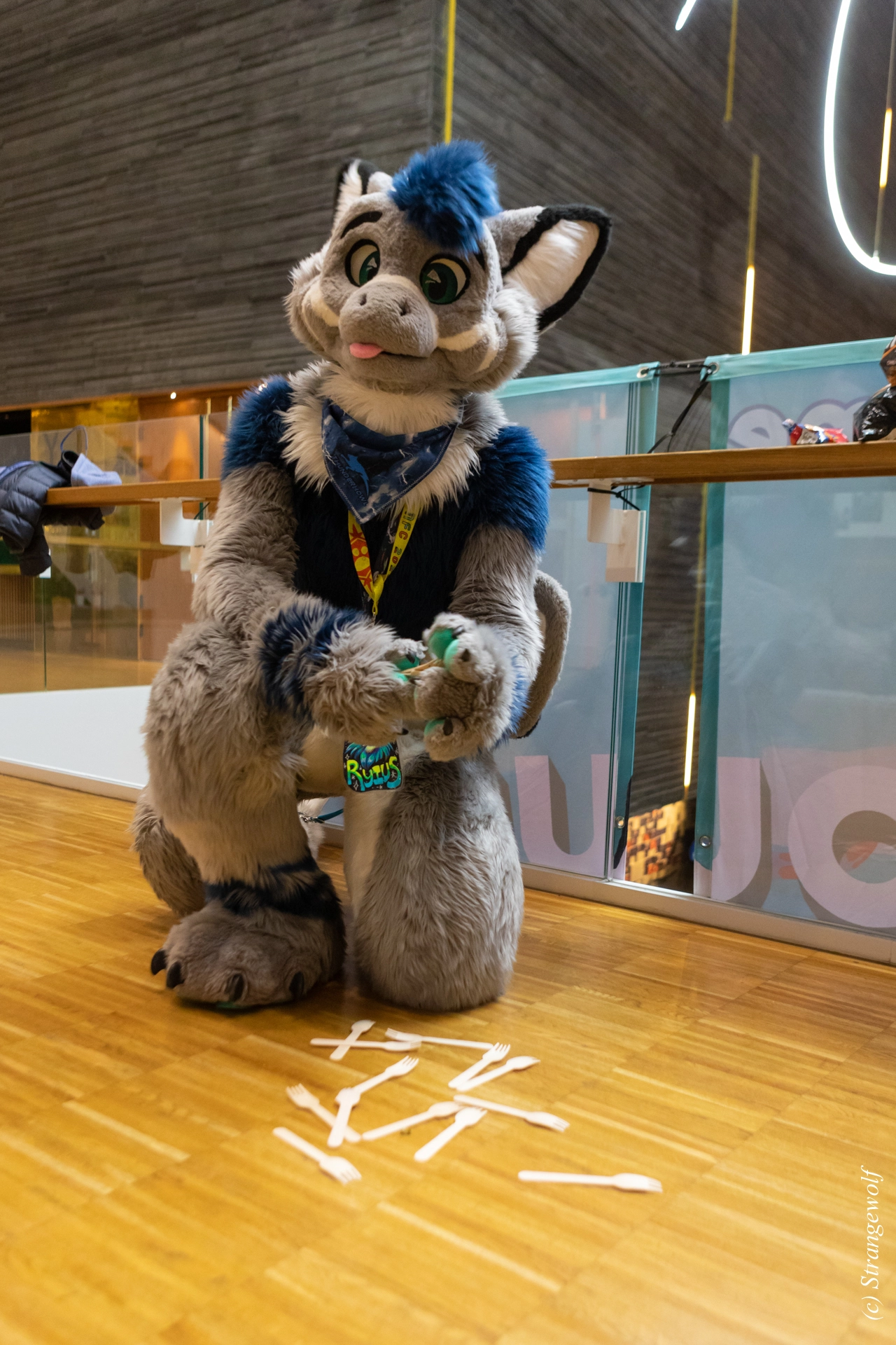 full image 1R3A9407-lr19t.jpg