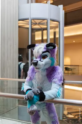 IMG_2096-lr19t.jpg of FWA/FWA2019/