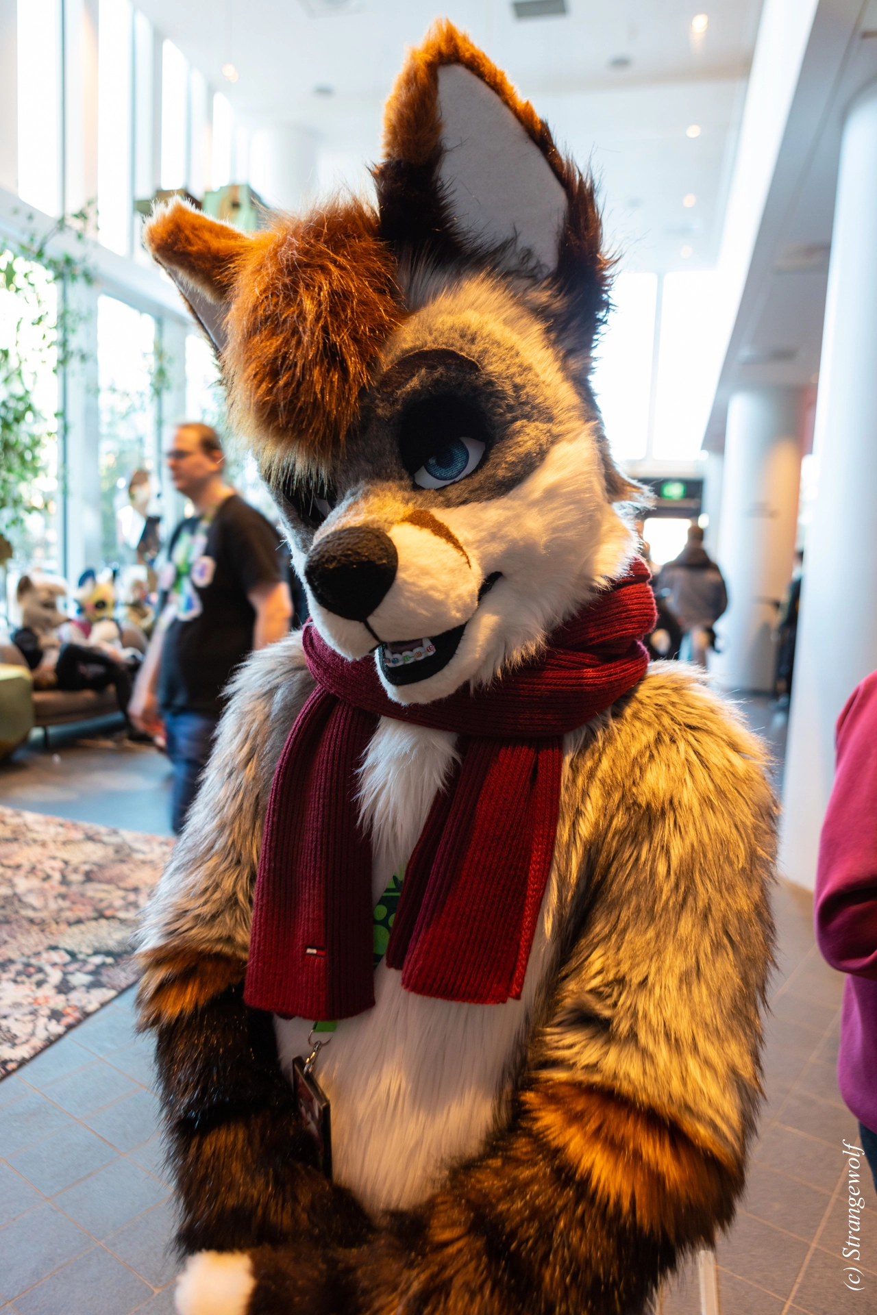 full image 1R3A9850-lr19t.jpg