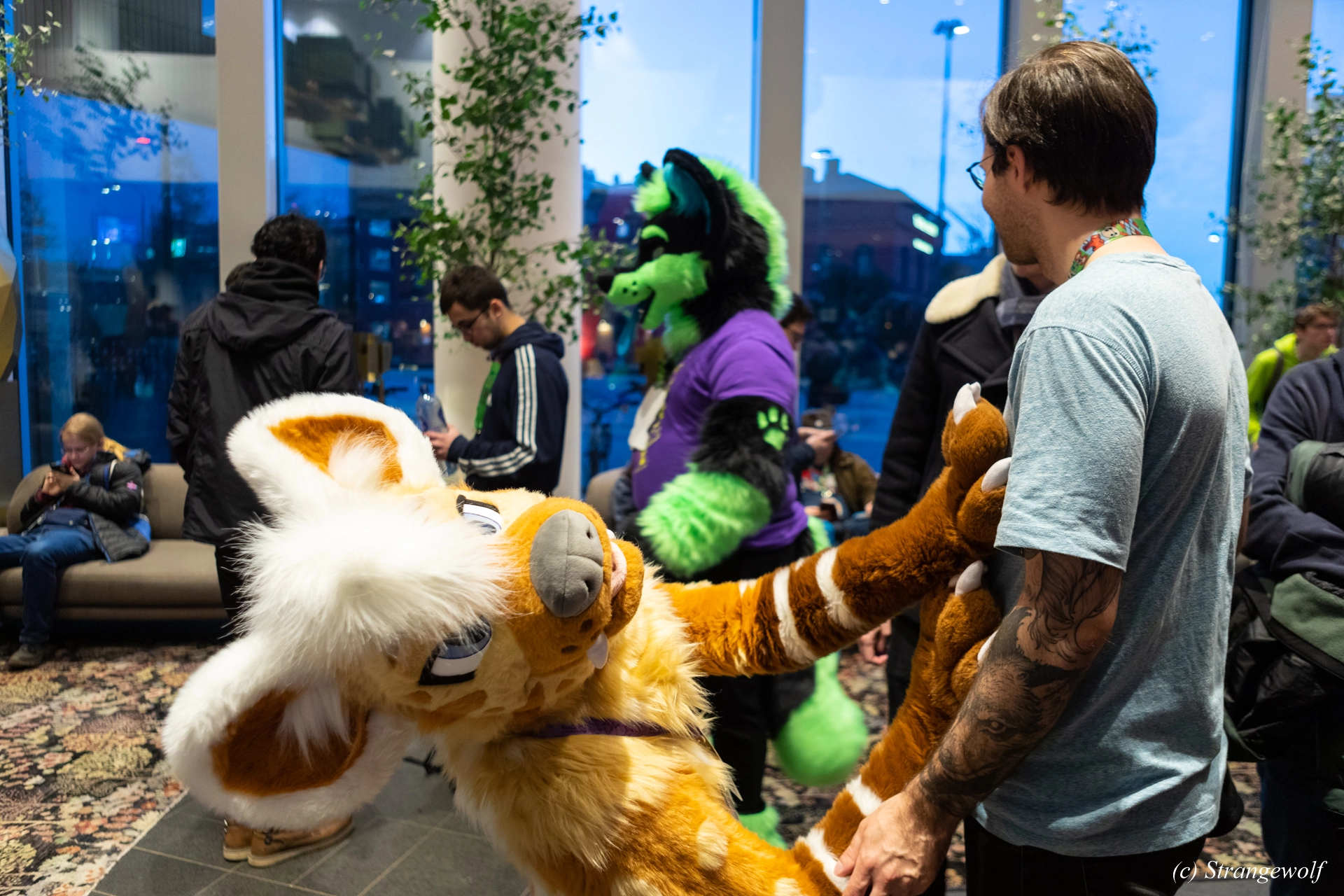 full image 1R3A9887-lr19t.jpg