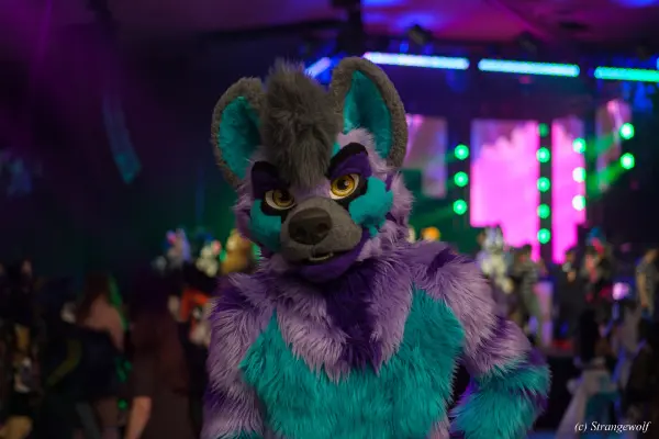 IMG_3451-lr19t.jpg of BLFC/2019/