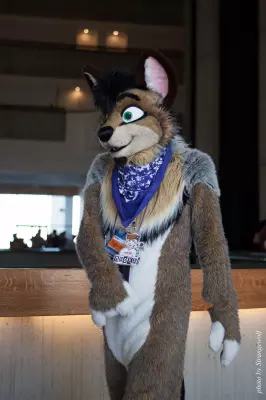 IMG_6043-lr16t.jpg of FWA/FWA2016/