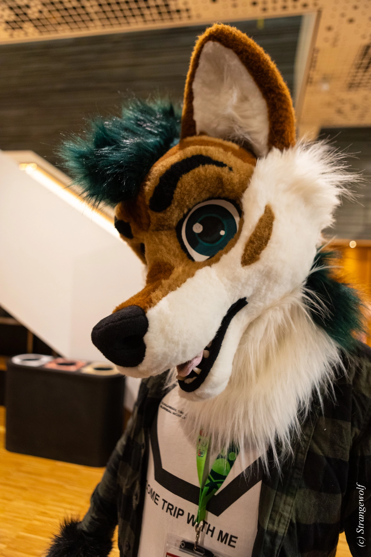 full image 1R3A9803-lr19t.jpg