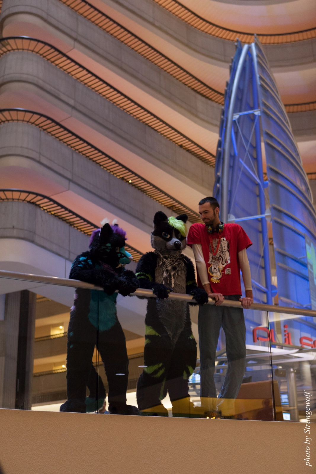 full image IMG_7630-lr16t.jpg