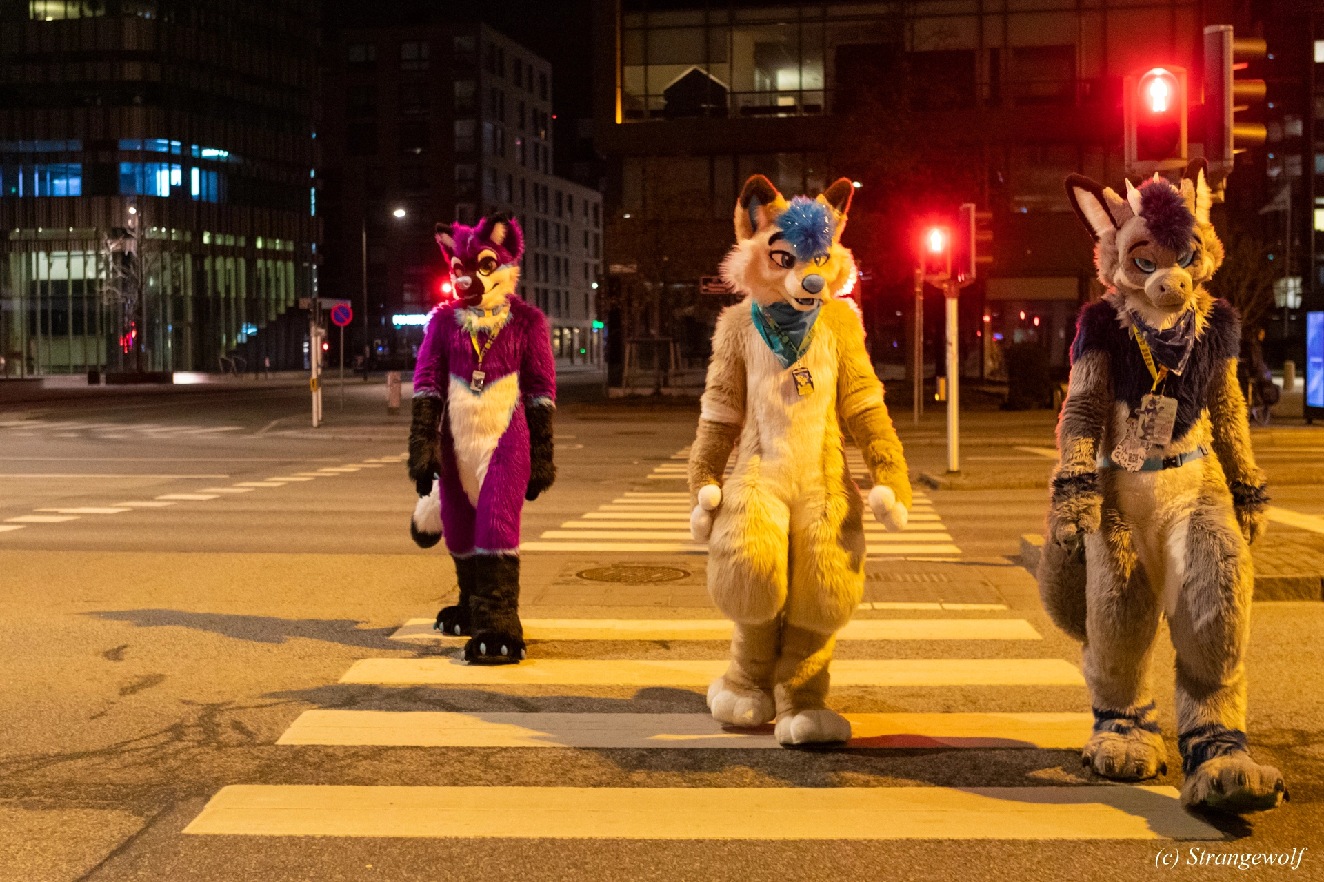 full image 1R3A9278-lr19t.jpg