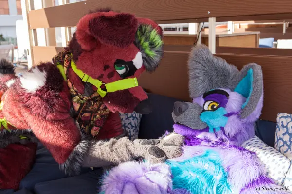 IMG_3088-lr19t.jpg of BLFC/2019/