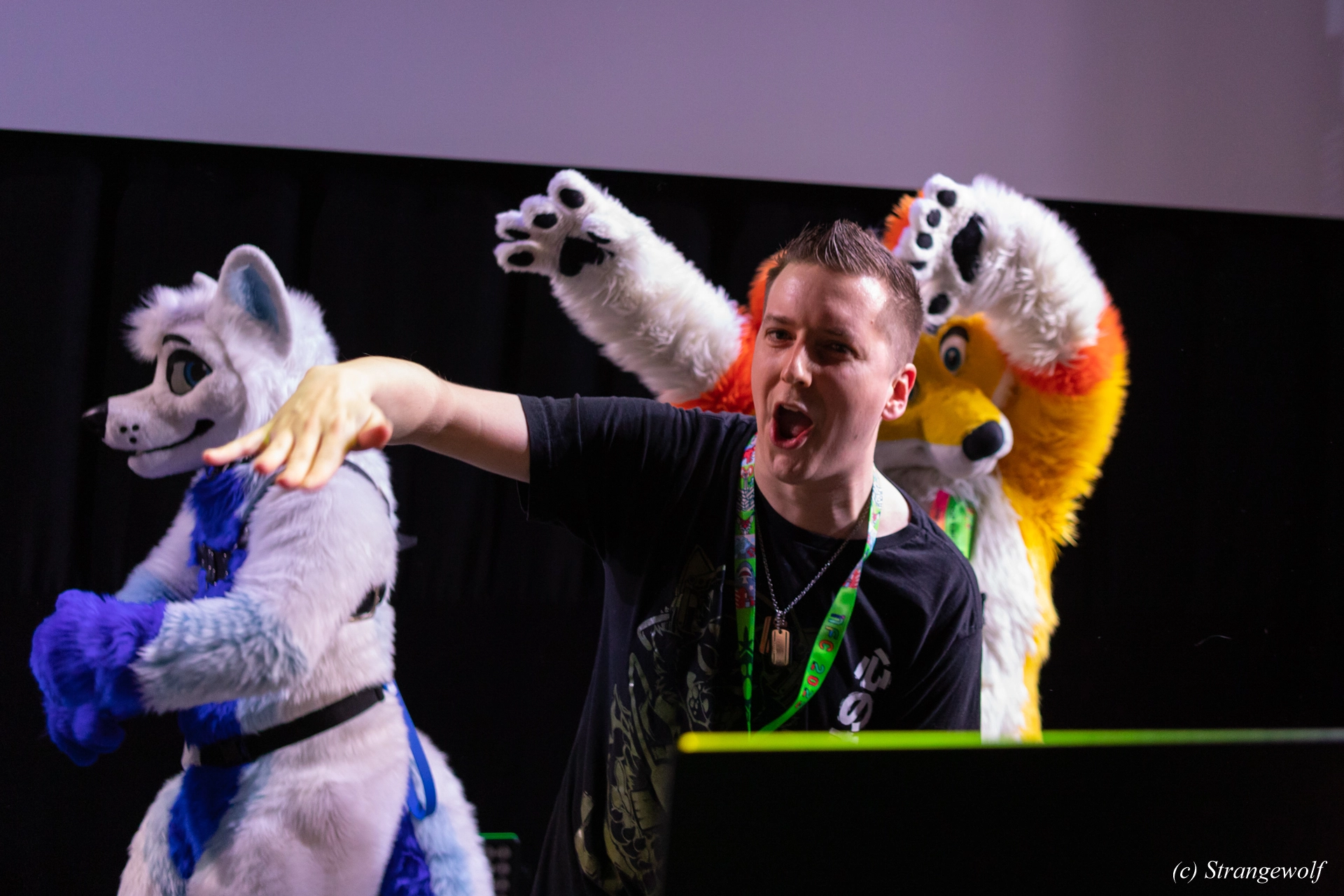 full image 1R3A9592-lr19t.jpg