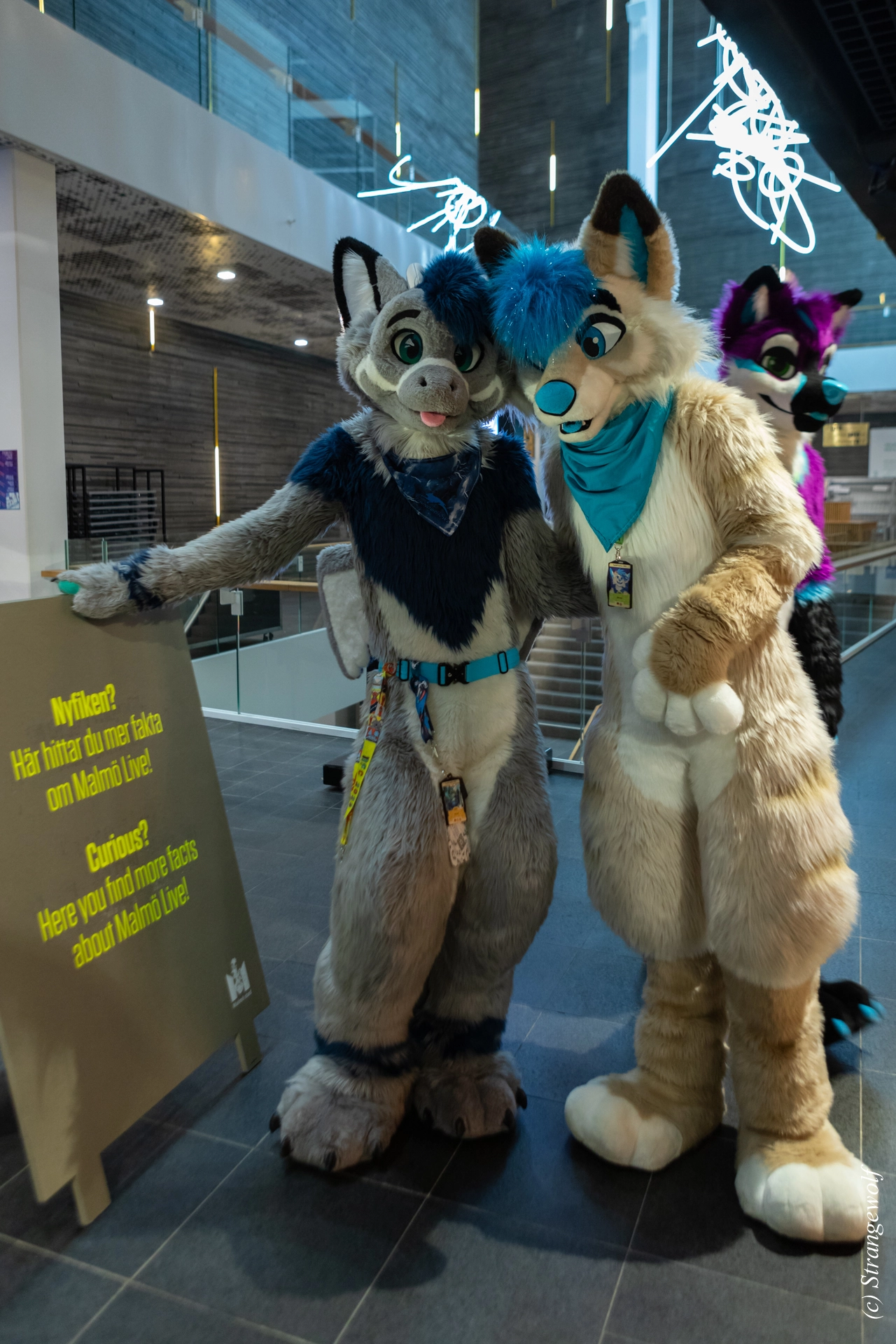 full image 1R3A0146-lr19t.jpg