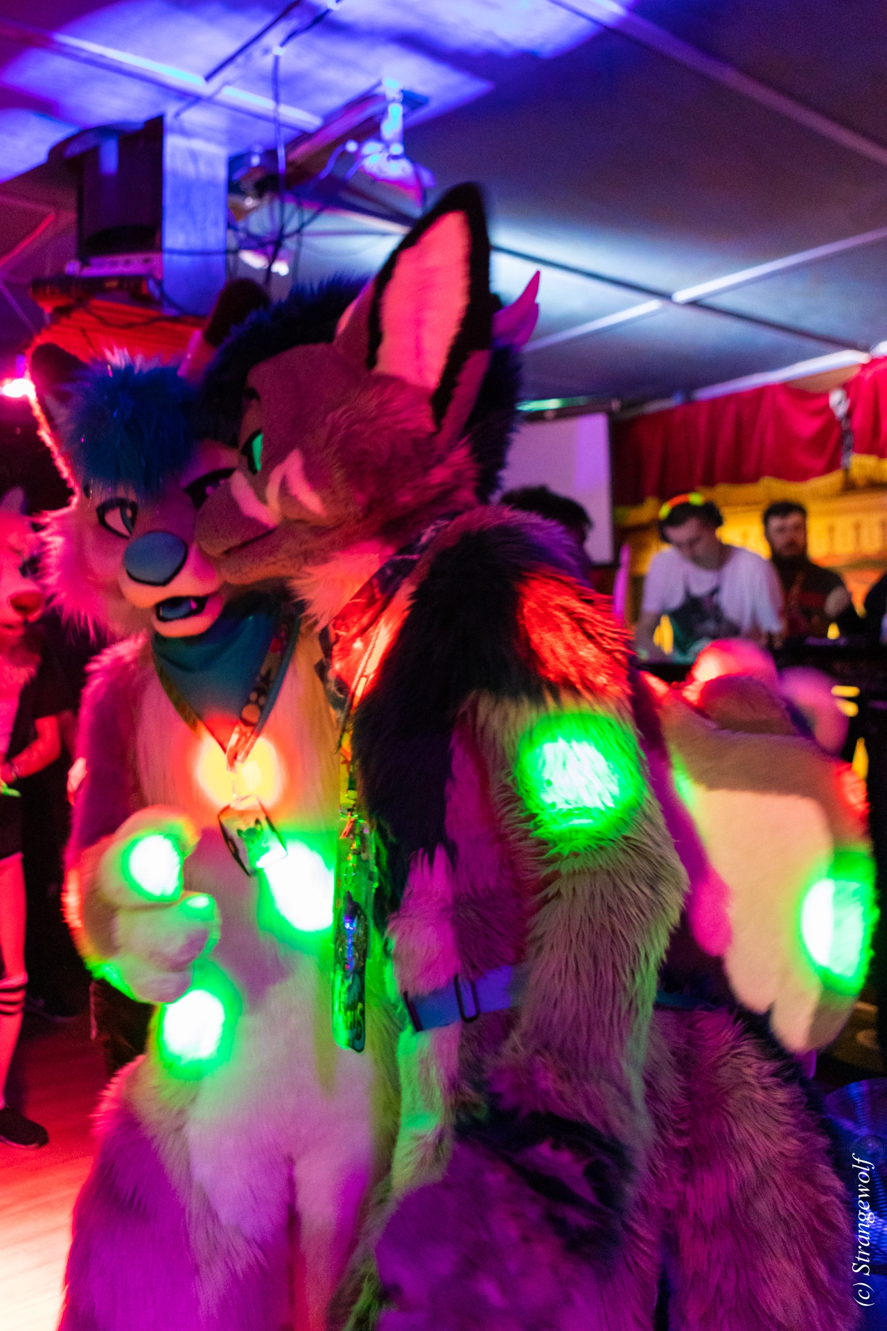 full image 1R3A9110-lr19t.jpg