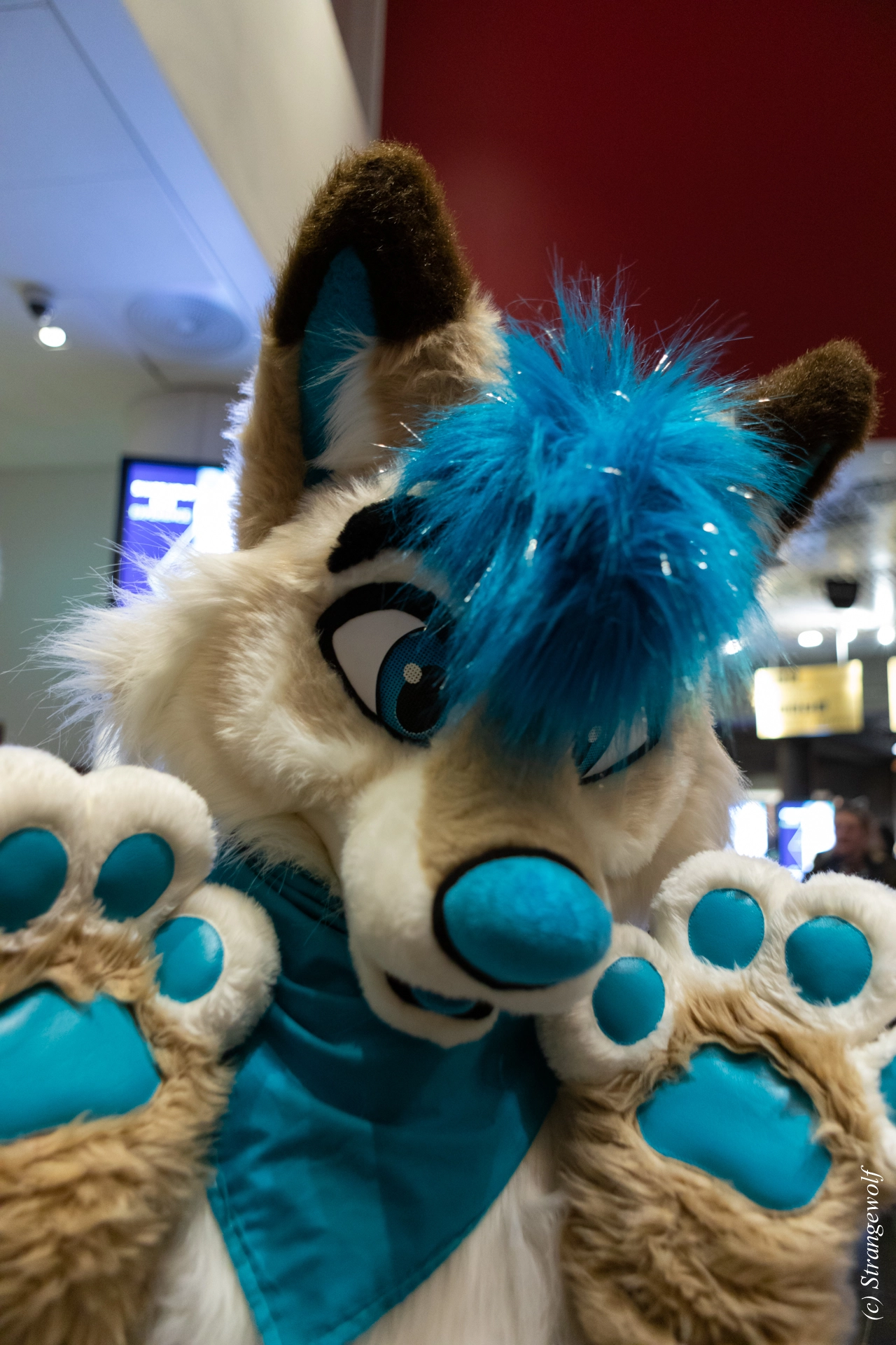 full image 1R3A0025-lr19t.jpg