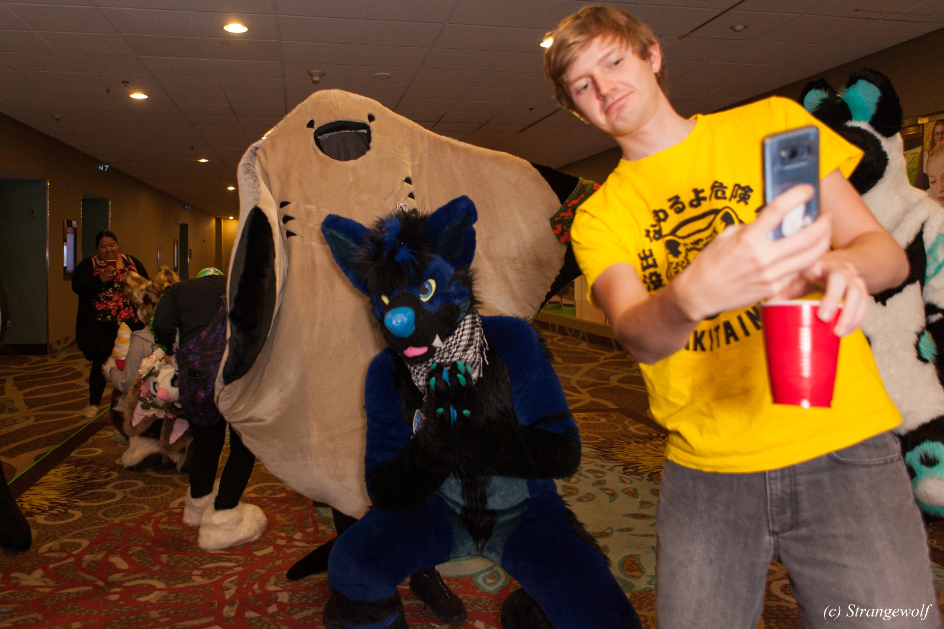 full image IMG_3401-lr19t.jpg