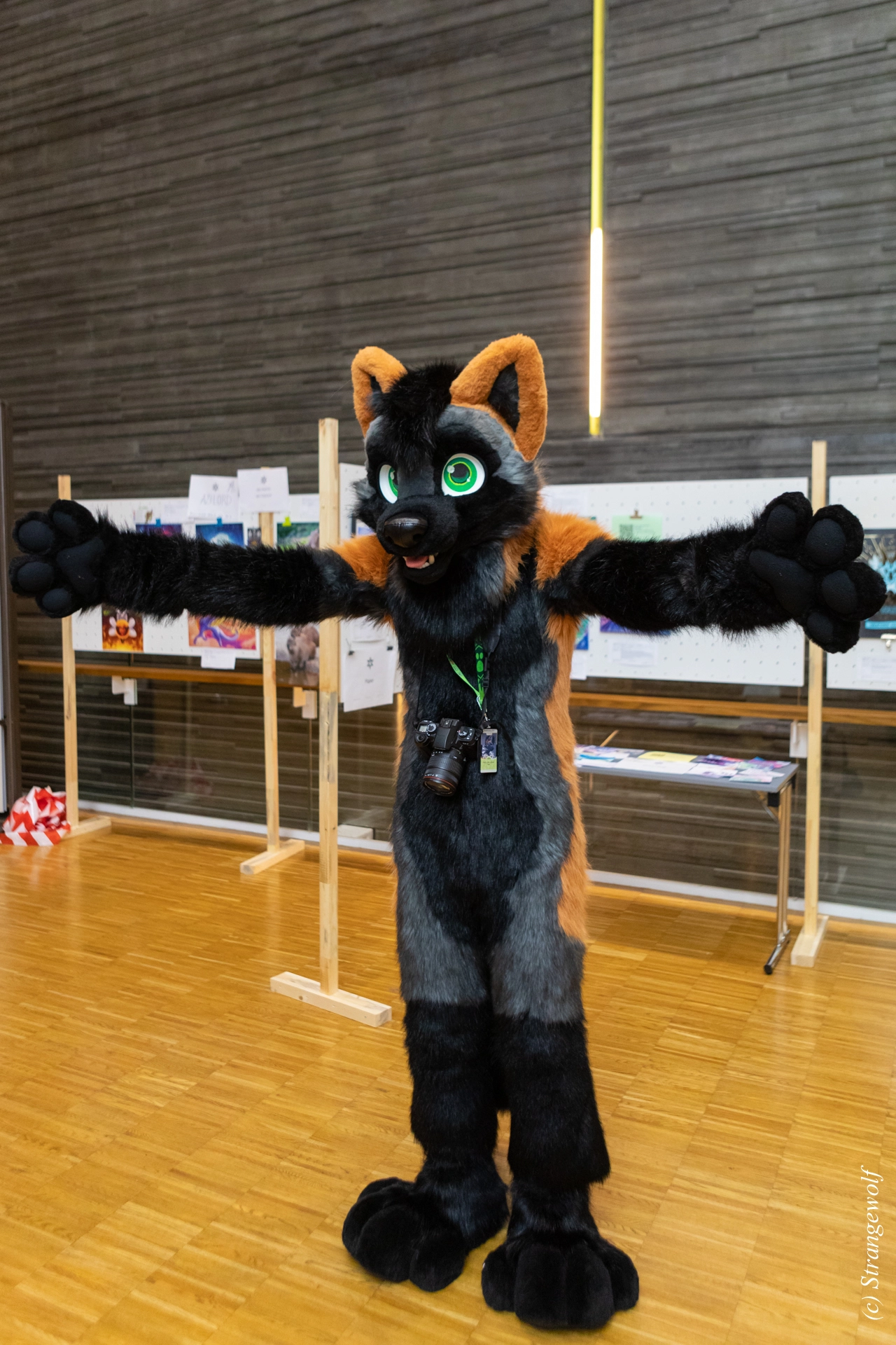 full image 1R3A9431-lr19t.jpg