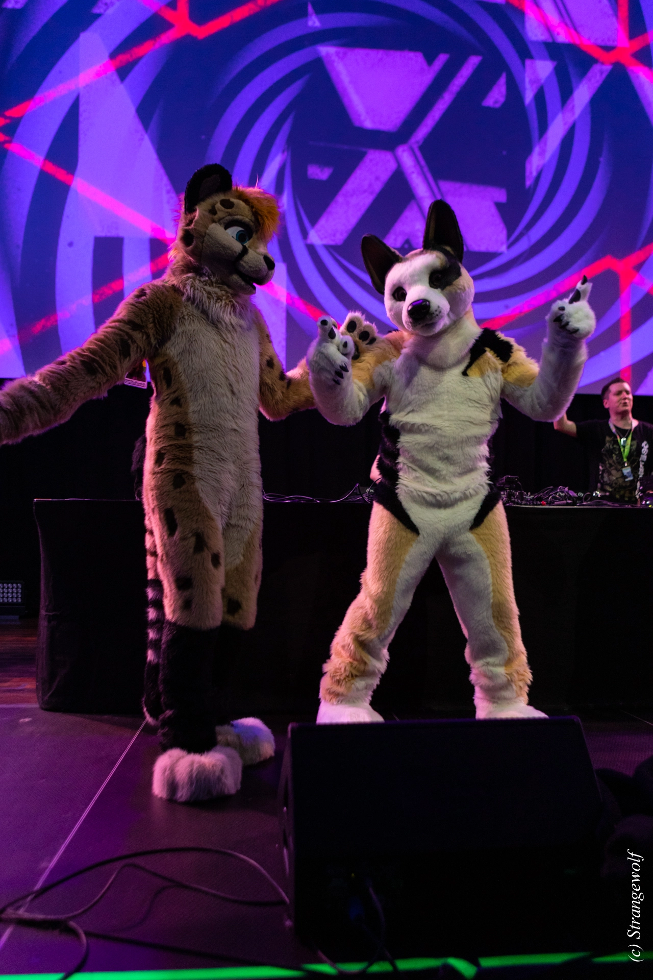 full image 1R3A9785-lr19t.jpg