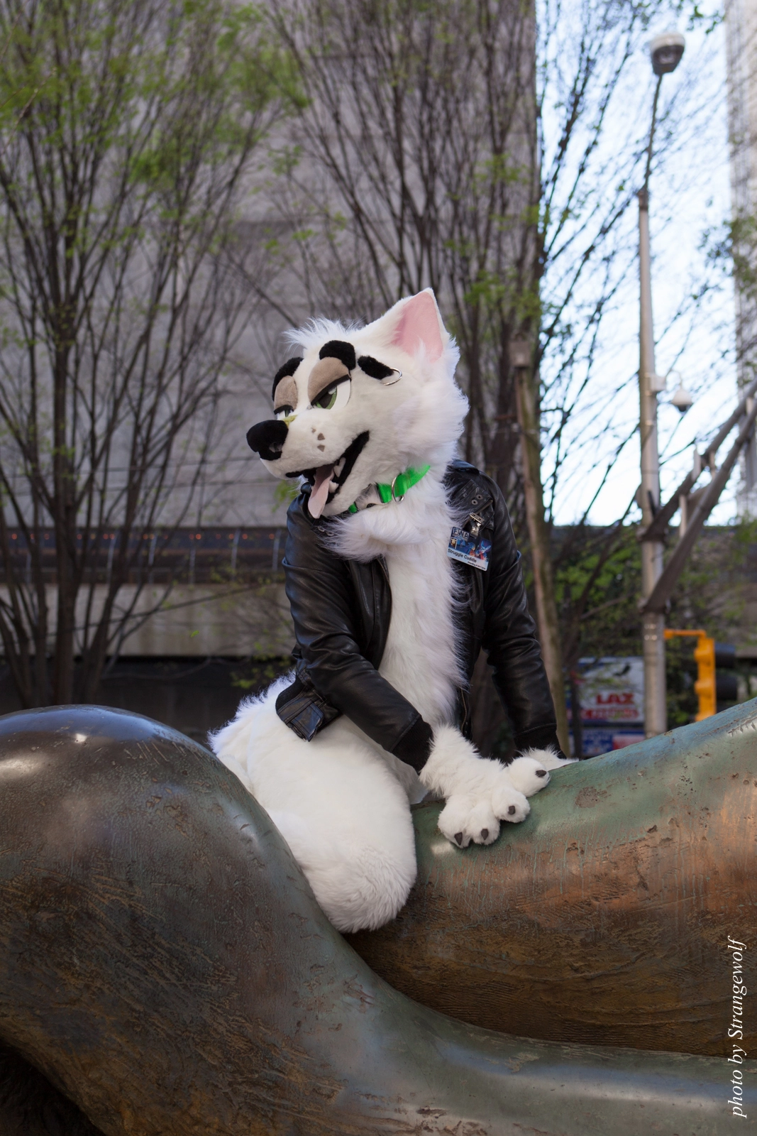 full image IMG_6223-lr16t.jpg