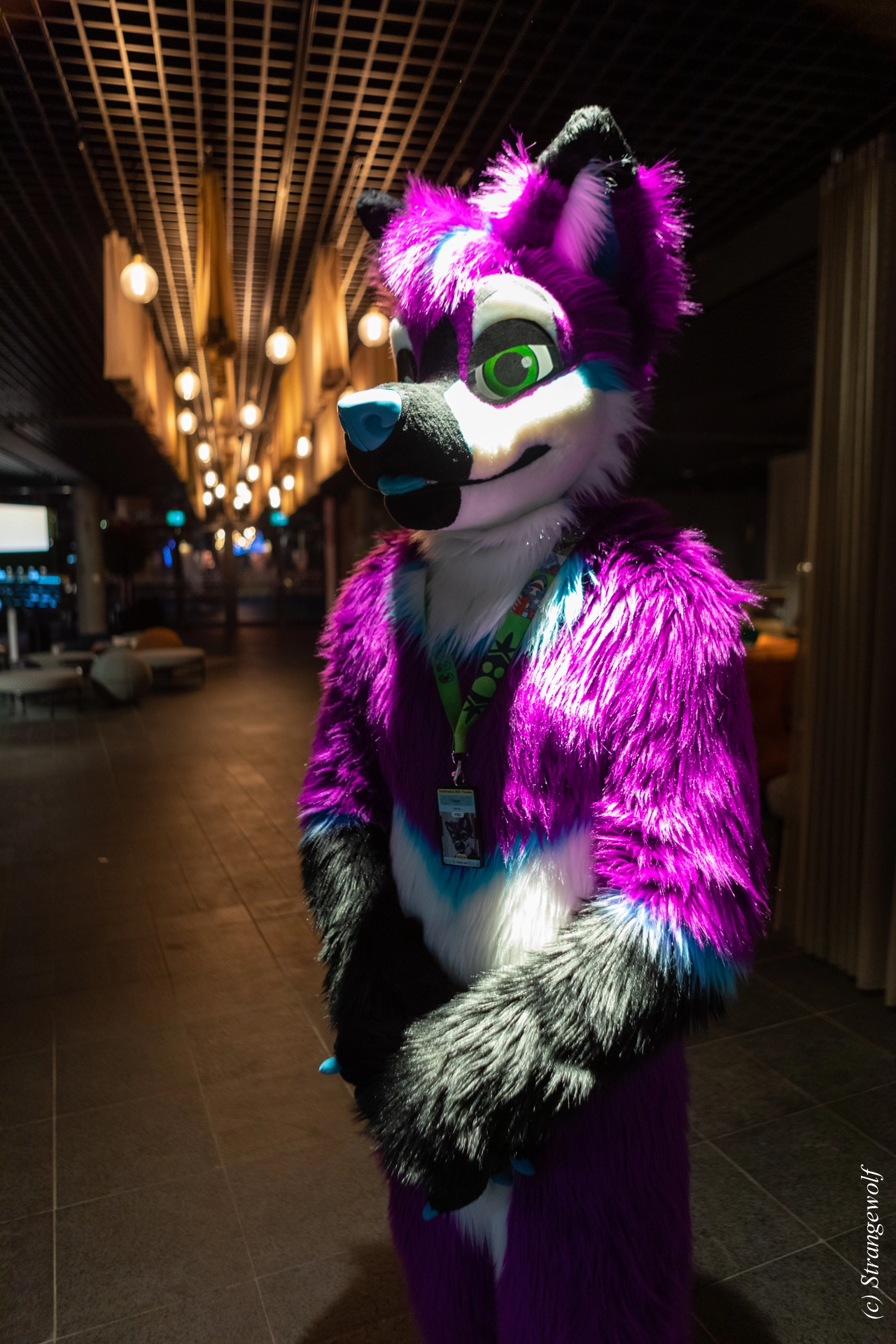 full image 1R3A0159-lr19t.jpg