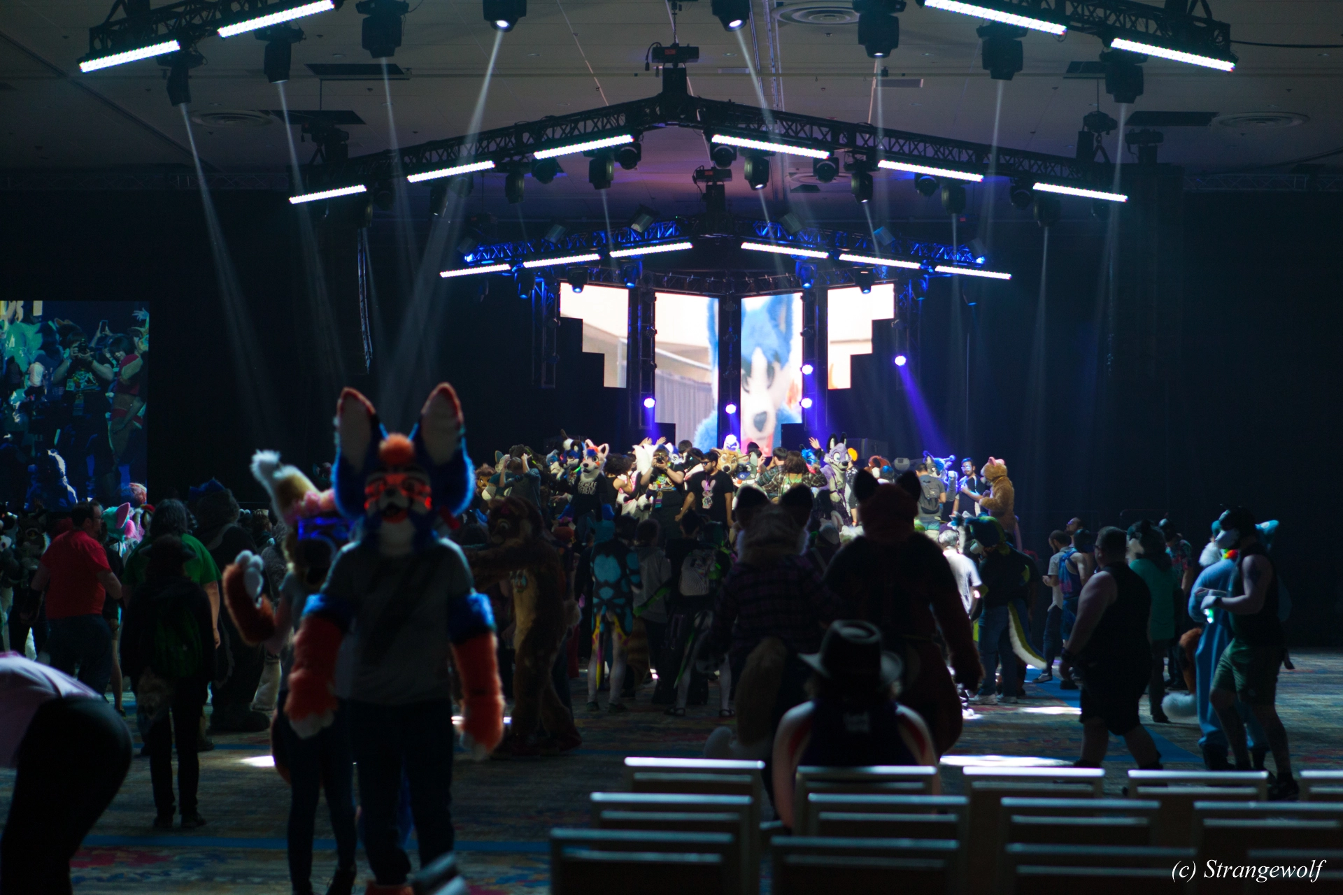full image IMG_3498-lr19t.jpg