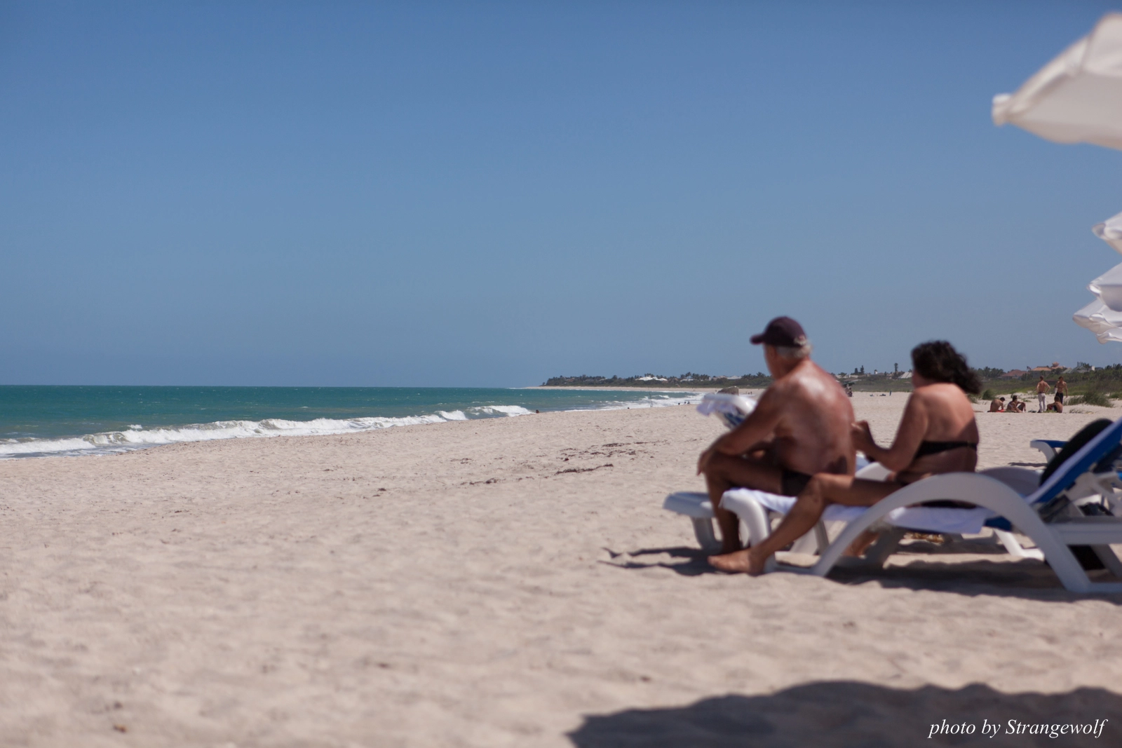 full image IMG_7349-lr16t.jpg