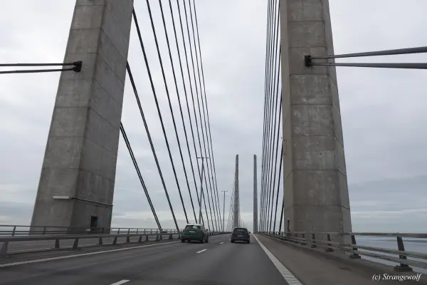 1R3A0176-lr19t.jpg of NFC/NFC2023/