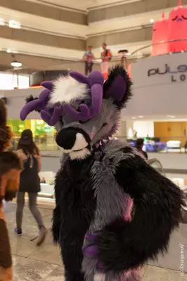 IMG_2450-lr19t.jpg of FWA/FWA2019/