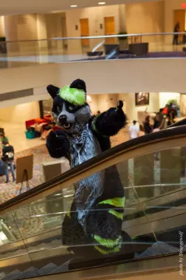 IMG_7661-lr16t.jpg of FWA/FWA2015/