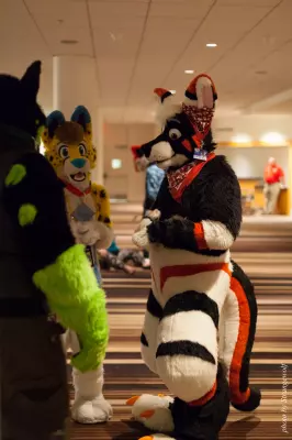 IMG_6271-lr16t.jpg of FWA/FWA2016/