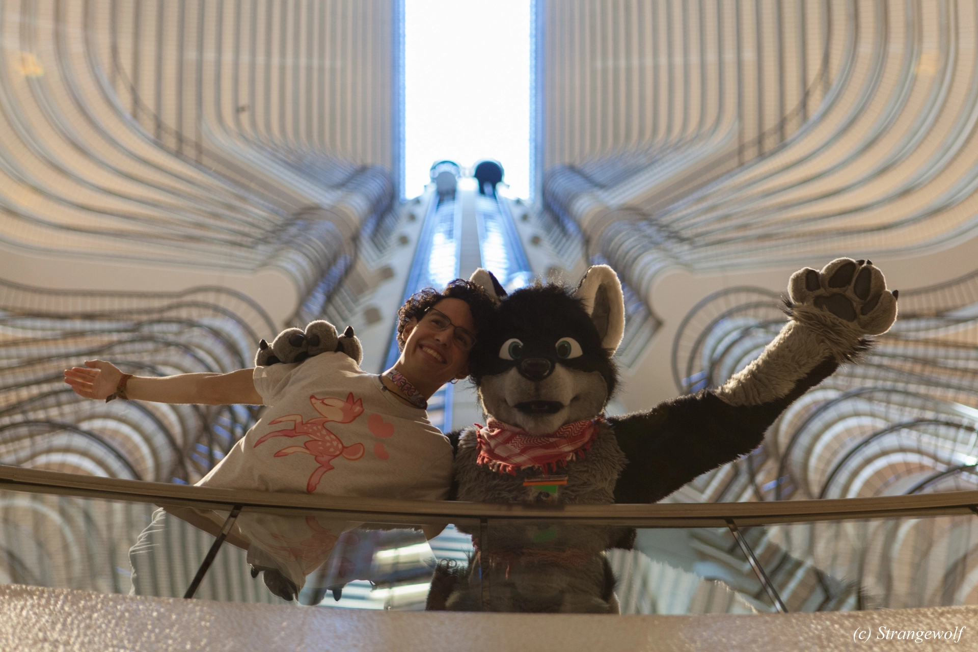 full image IMG_1789-lr19t.jpg