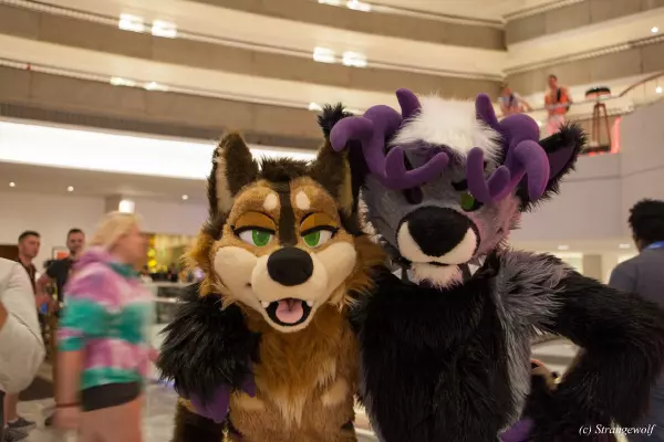 IMG_2455-lr19t.jpg of FWA/FWA2019/